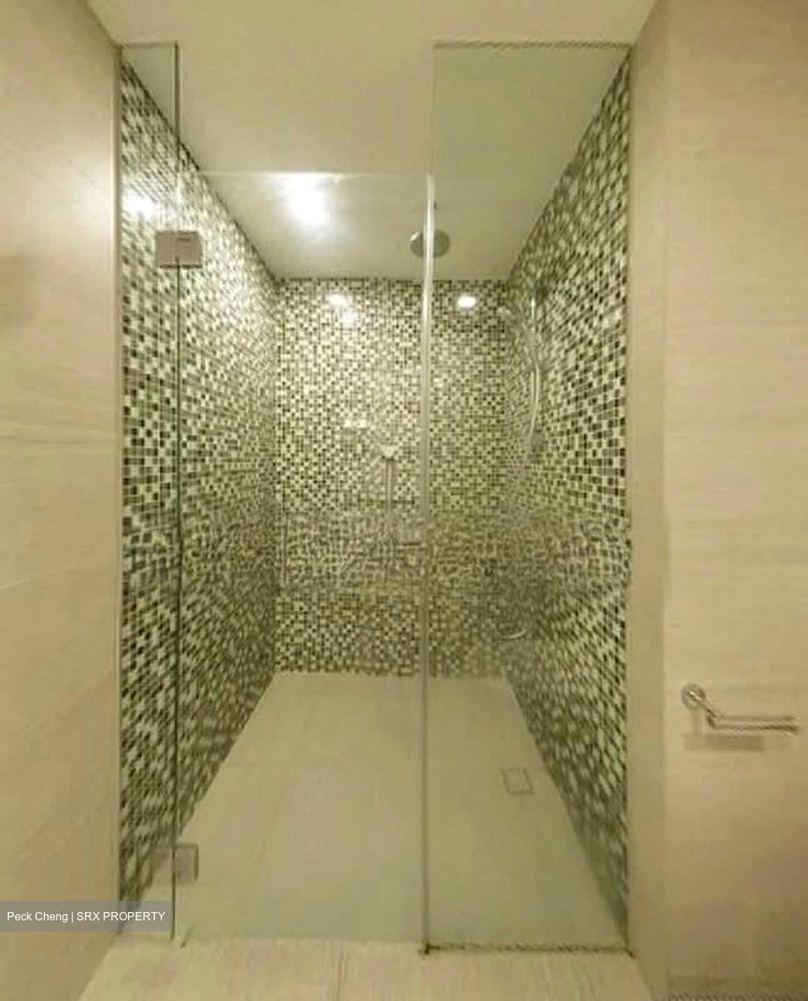Sant Ritz (D13), Condominium #581209521